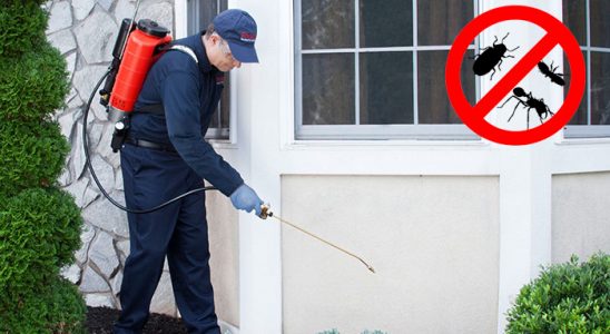 Simav Bit İlaçlama böcek ilaçlama ve haşere kontrolü — ilaclama-tr.com